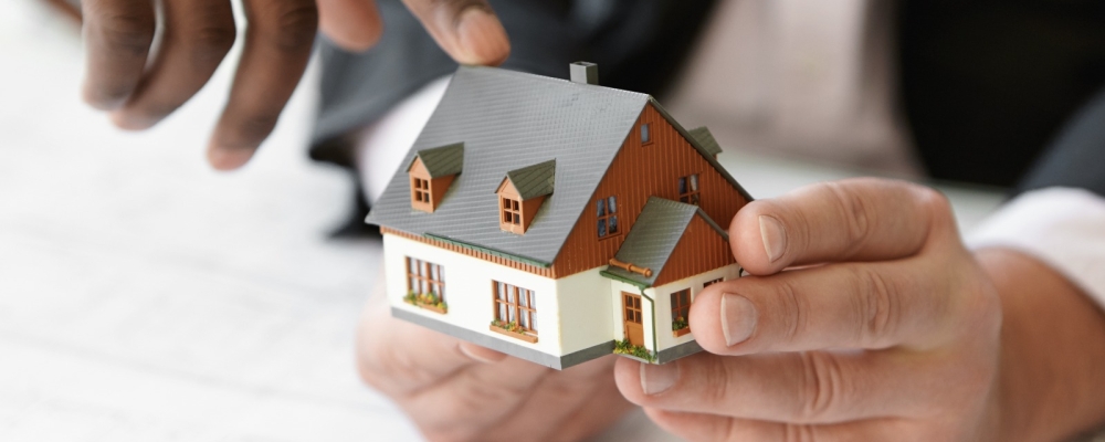 WhatsApp Image 2024-07-19 at 7.35.16 AM